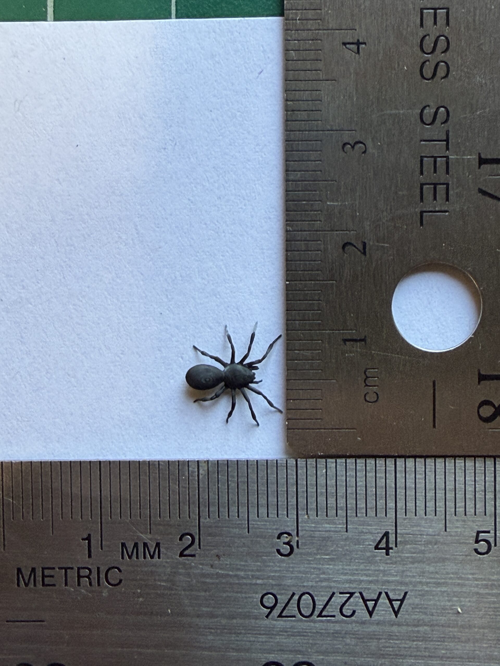 Spider 1:6 scale - Image 2